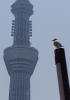 2014-04 Skytree_1