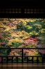Kyoto_3