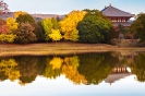 Nara - Todai-ji_1