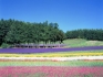 Hokkaido - Japans schillernder Norden15