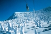 Mt. Zao, Yamagata