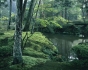 Saihoji Temple, Kyoto