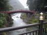 Nikko im Regen_1