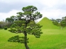 Teepause in Kumamoto_1
