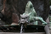 Wasserspeier_1