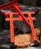 Tori mit Katze_1