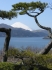 Fuji-san