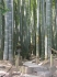 Hokokuji-Tempel_1