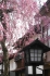 Gasse in Hida Furukawa_1