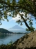 BlickaufdenFujisan_1