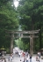 Nikko_1