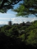 Kyoto-1