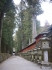 Nikko