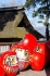 Daruma in Takasaki_1