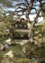 Silberner Pavillion_1