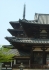 Horyu-ji_1
