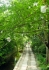 Philosophenweg_1