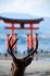 shika no torii_1