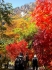 Herbstimpressionen_1