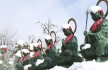 Neujahr am Zenkouji, Nagano_1