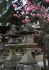 Steinlaternen bei Ryoanji_1