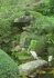 Im Daisho-in auf Miyajima_1