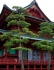 Tempel in Nikko