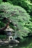 ShinkujukuGyoenPark
