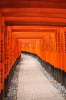 Fushimi Inari Schrein_1