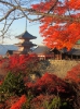 Kiyomizu-dera_1