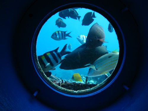 Observatorium des Busena Marine Park