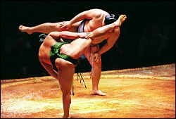 Sumo