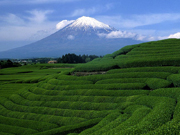 fujisan shizuoka 01