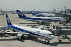 ana 15
