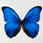 sanos Avatar